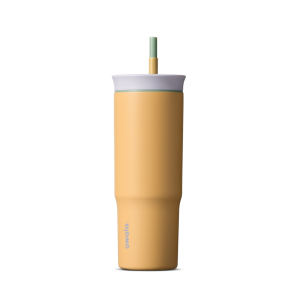 Owala 24oz Tumbler Stainless Steel 24oz Beachfront