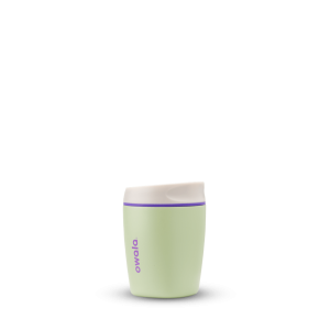 Owala SmoothSip Stainless Steel 10oz Hip Cactus